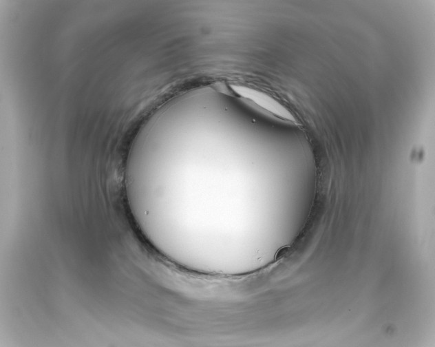 X0000093580040200711051126