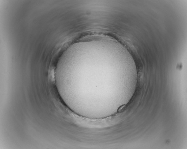 X0000093580042200711051126