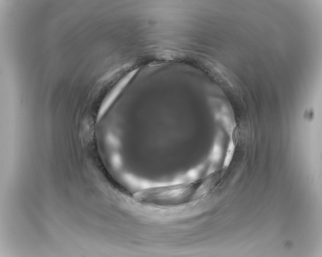 X0000093580043200711051126