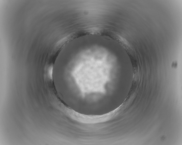 X0000093580047200711051126