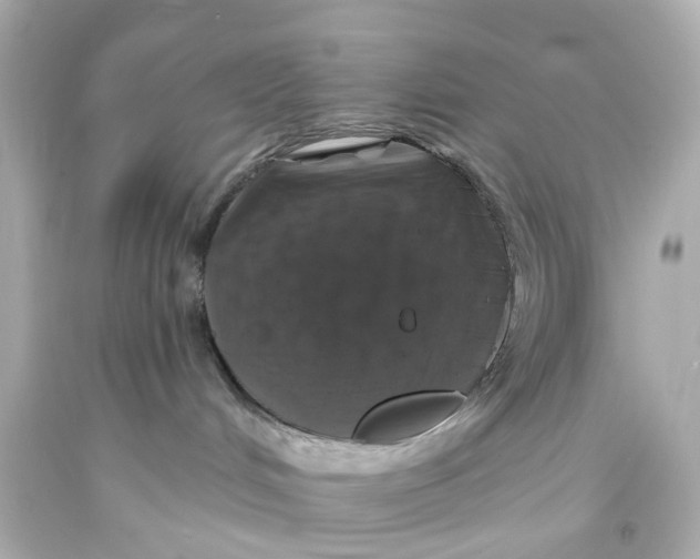 X0000093580048200711051126