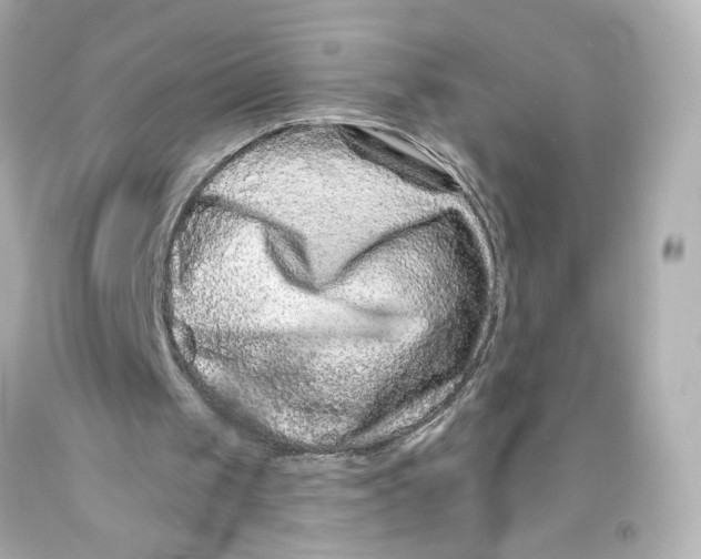 X0000093580049200711051126