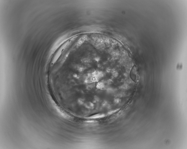 X0000093580053200711051126