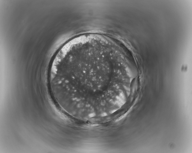 X0000093580055200711051126