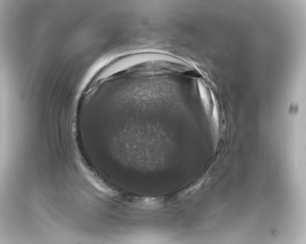 X0000093580056200711051126