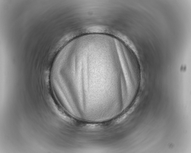 X0000093580057200711051126