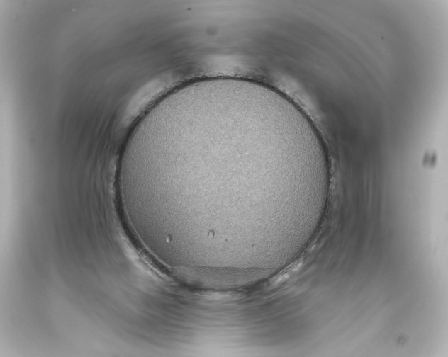 X0000093580058200711051126