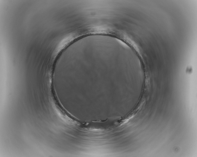 X0000093580059200711051126