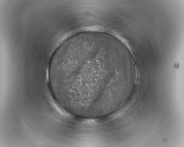 X0000093580061200711051126