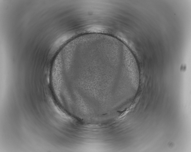 X0000093580062200711051126