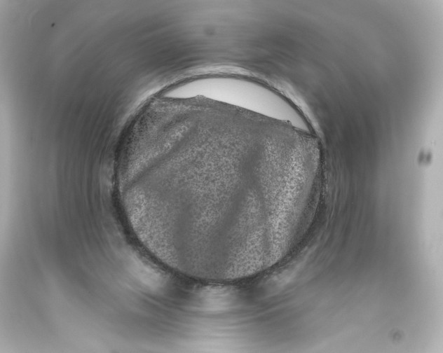 X0000093580063200711051126