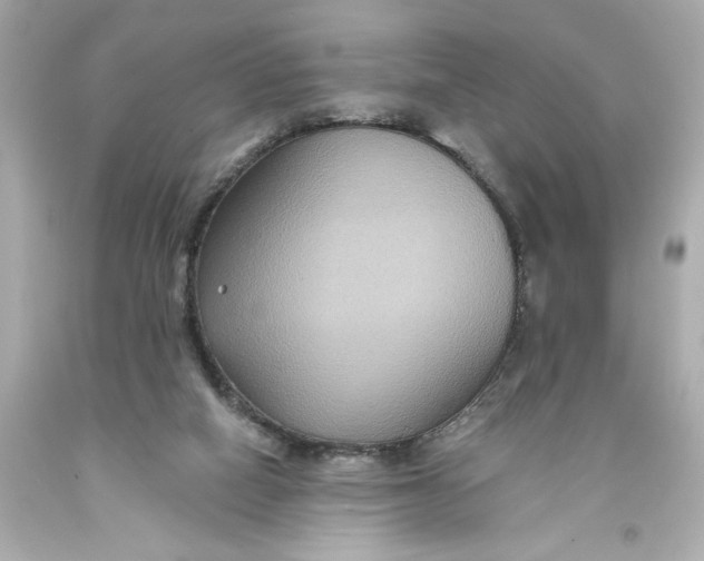 X0000093580066200711051126