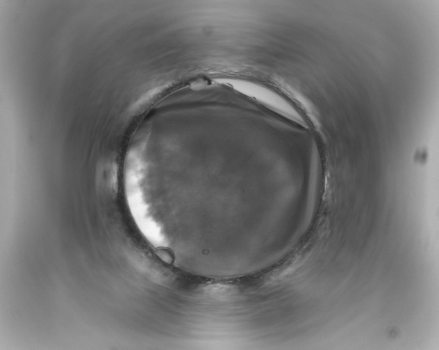 X0000093580067200711051126