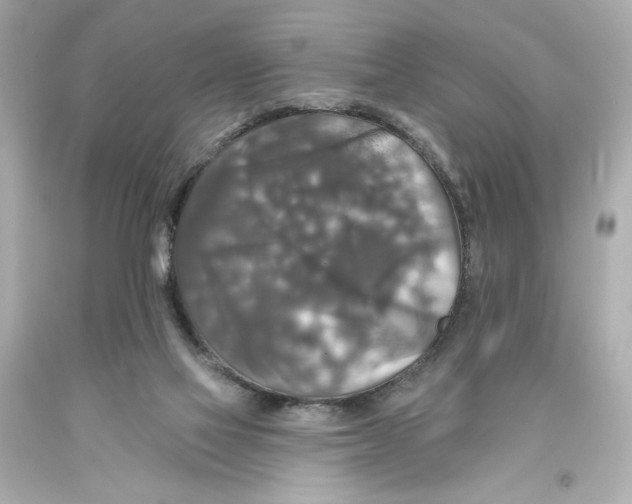 X0000093580069200711051126