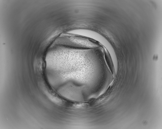 X0000093580072200711051126