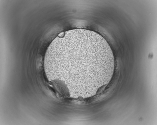 X0000093580073200711051126