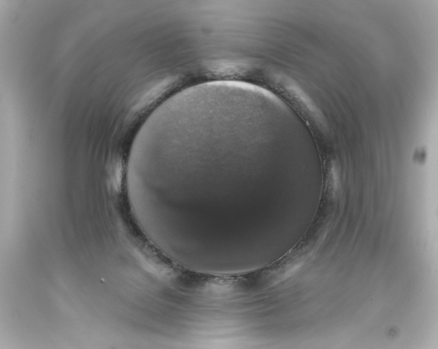 X0000093580076200711051126