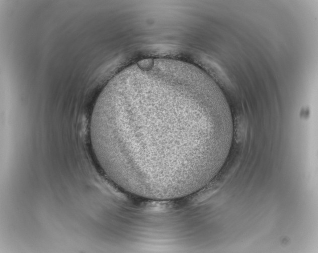 X0000093580077200711051126