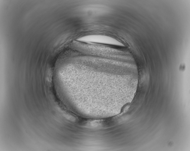 X0000093580078200711051126