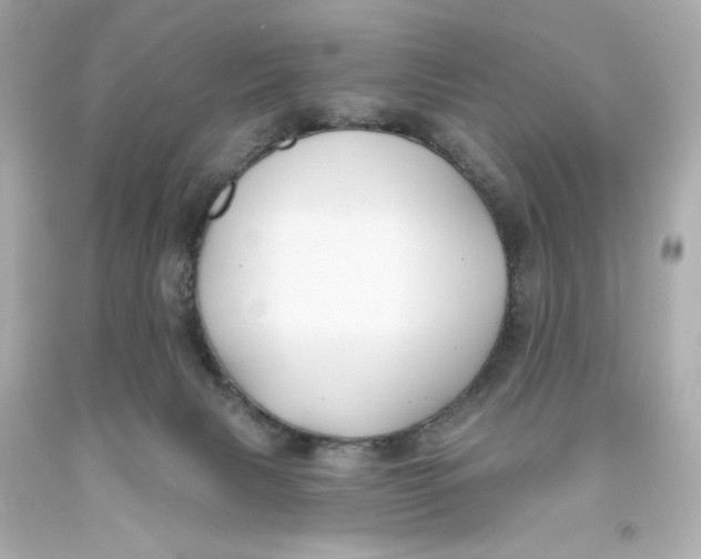 X0000093580079200711051126