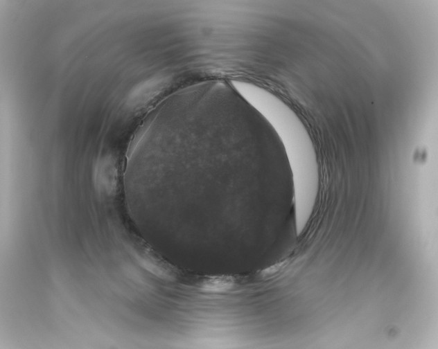 X0000093580080200711051126