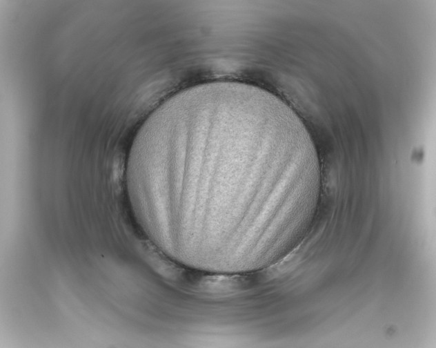 X0000093580082200711051126