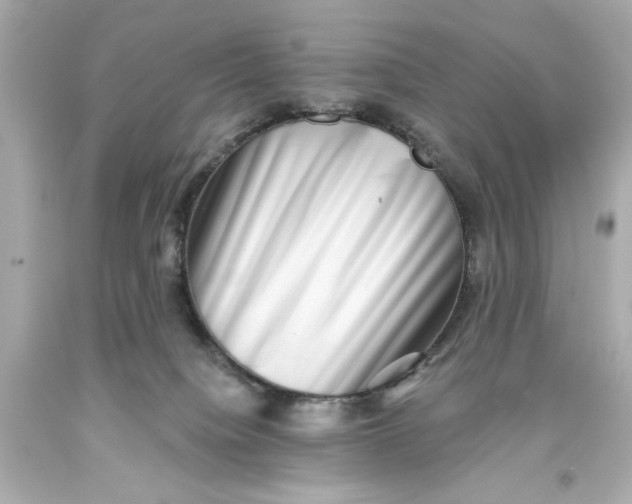 X0000093580084200711051126