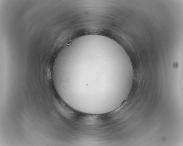 X0000093580086200711051126