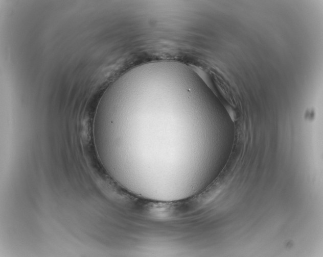 X0000093580088200711051126