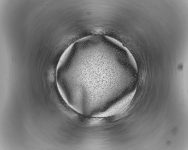 X0000093580090200711051126