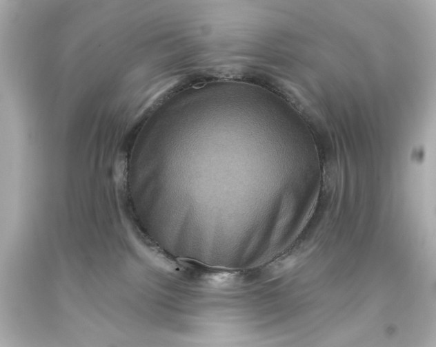 X0000093580092200711051126