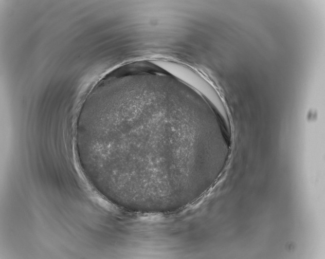 X0000093580097200711051126