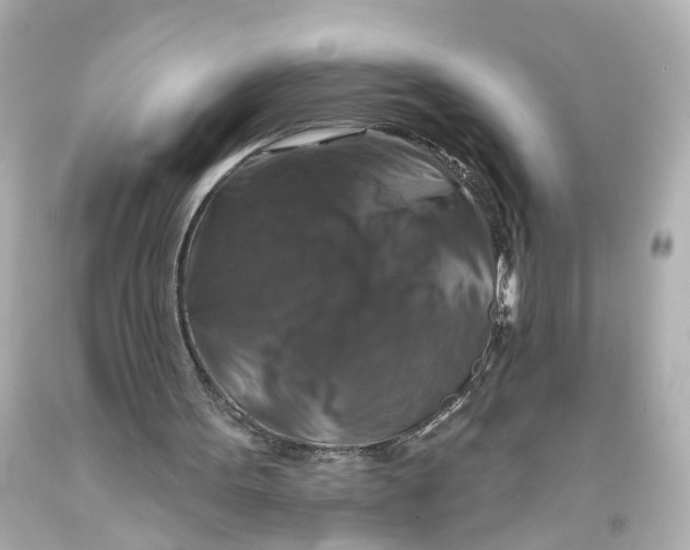 X0000093580099200711051126