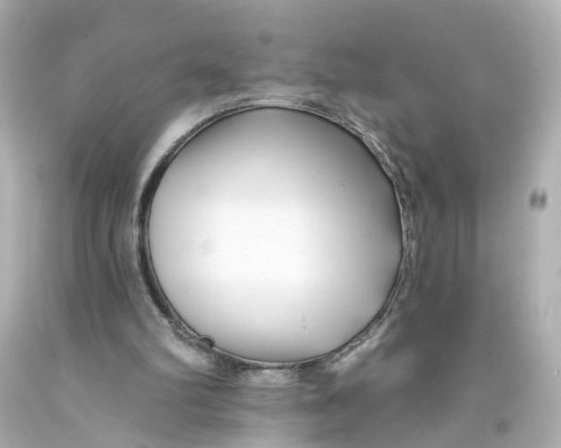 X0000093580102200711051126