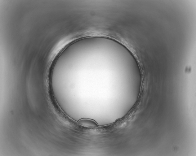 X0000093580103200711051126