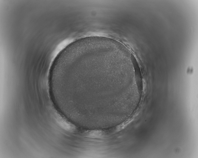 X0000093580104200711051126