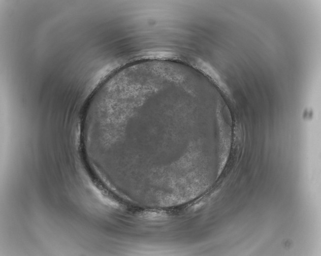 X0000093580110200711051126