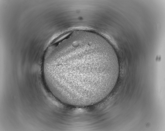 X0000093580111200711051126