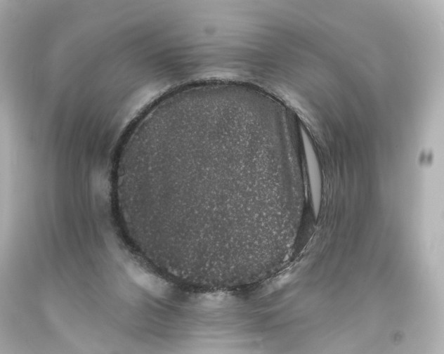 X0000093580112200711051125