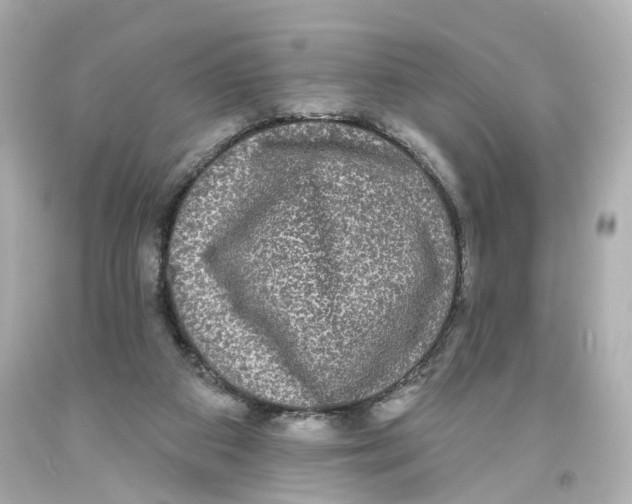 X0000093580113200711051125