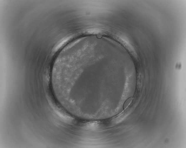 X0000093580116200711051125