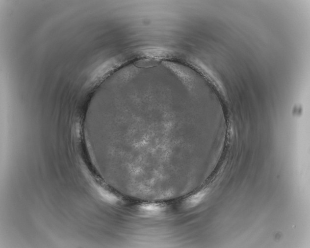 X0000093580117200711051125