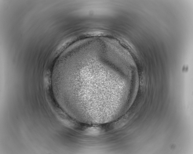 X0000093580119200711051125