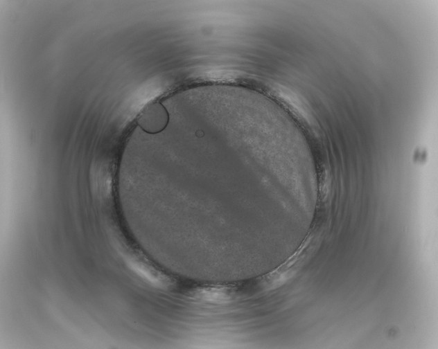 X0000093580120200711051125