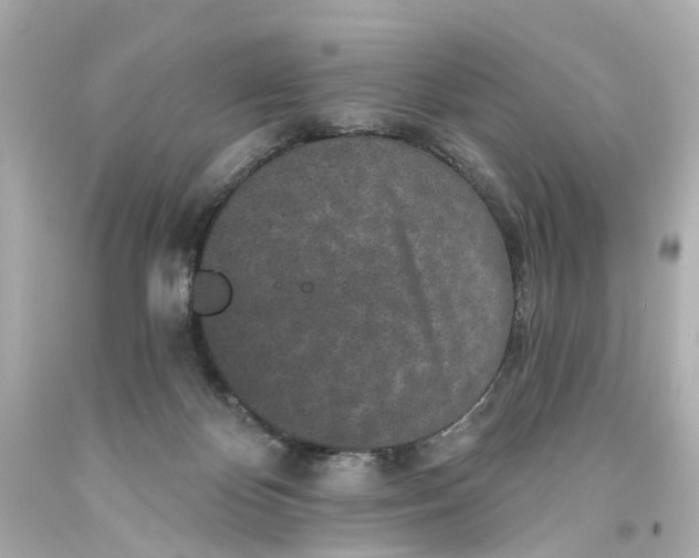 X0000093580124200711051125