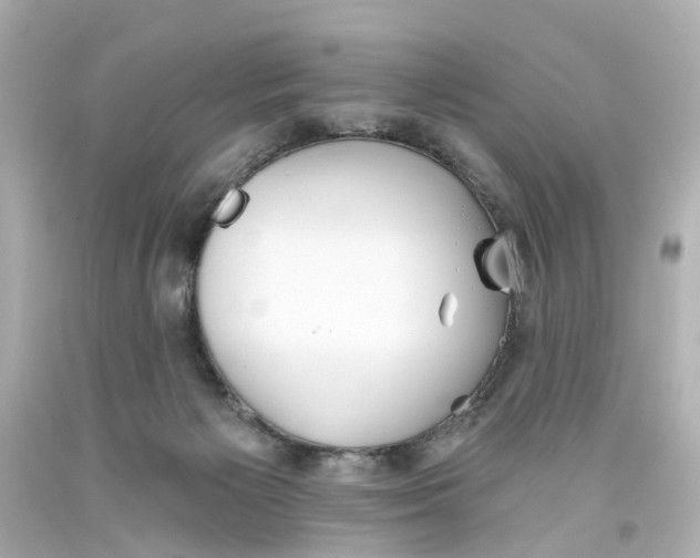 X0000093580125200711051125