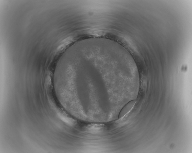 X0000093580128200711051125