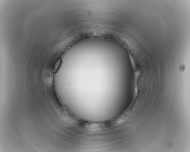 X0000093580129200711051125