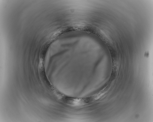 X0000093580130200711051125