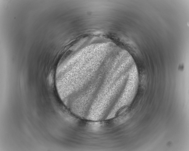 X0000093580131200711051125